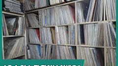 LP 속 가수 몇 명이나 아세요?