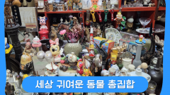 세상 귀여운 동물들 여기 다있네 