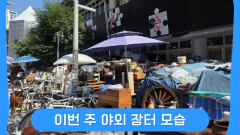 이번 주 야외 장터 모습