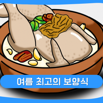 여름 보양식 